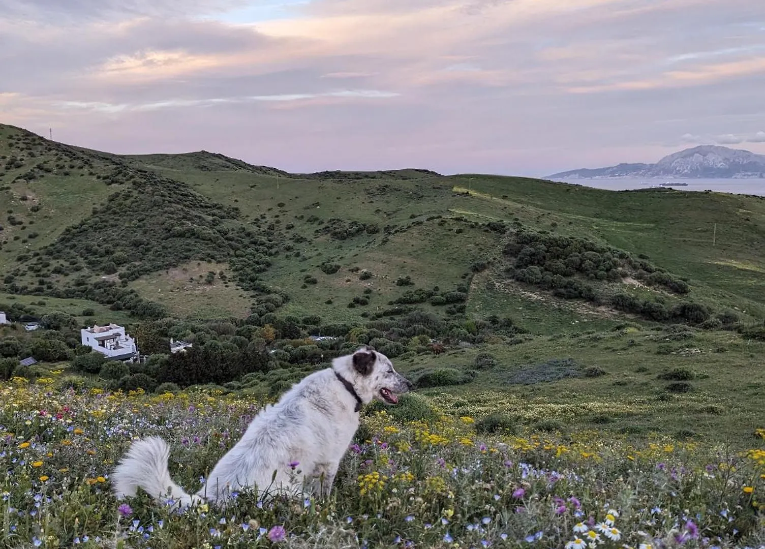 Home Stay En Finca Rural Tarifa