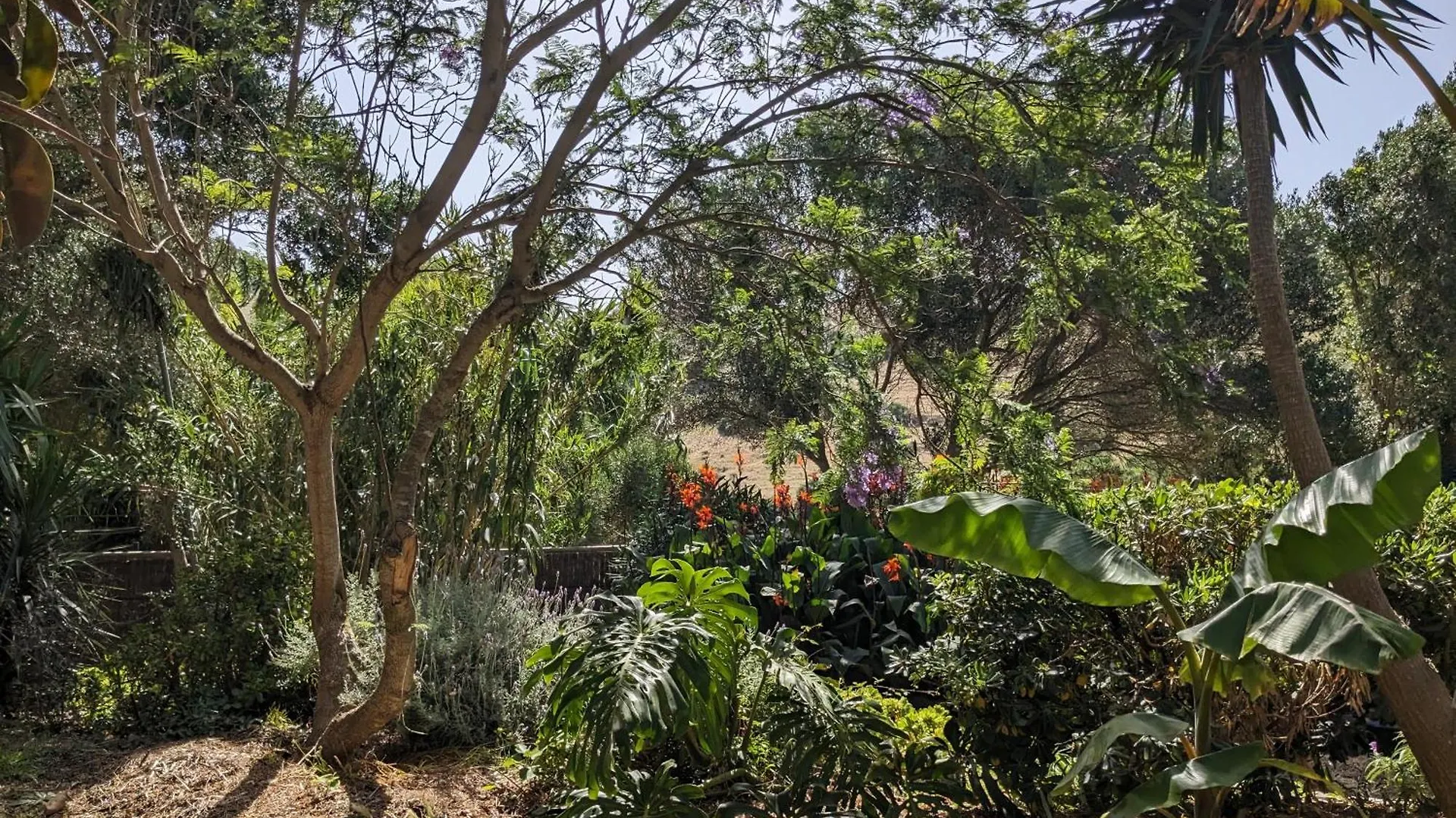 Home Stay En Finca Rural Tarifa 0*,  Espanha