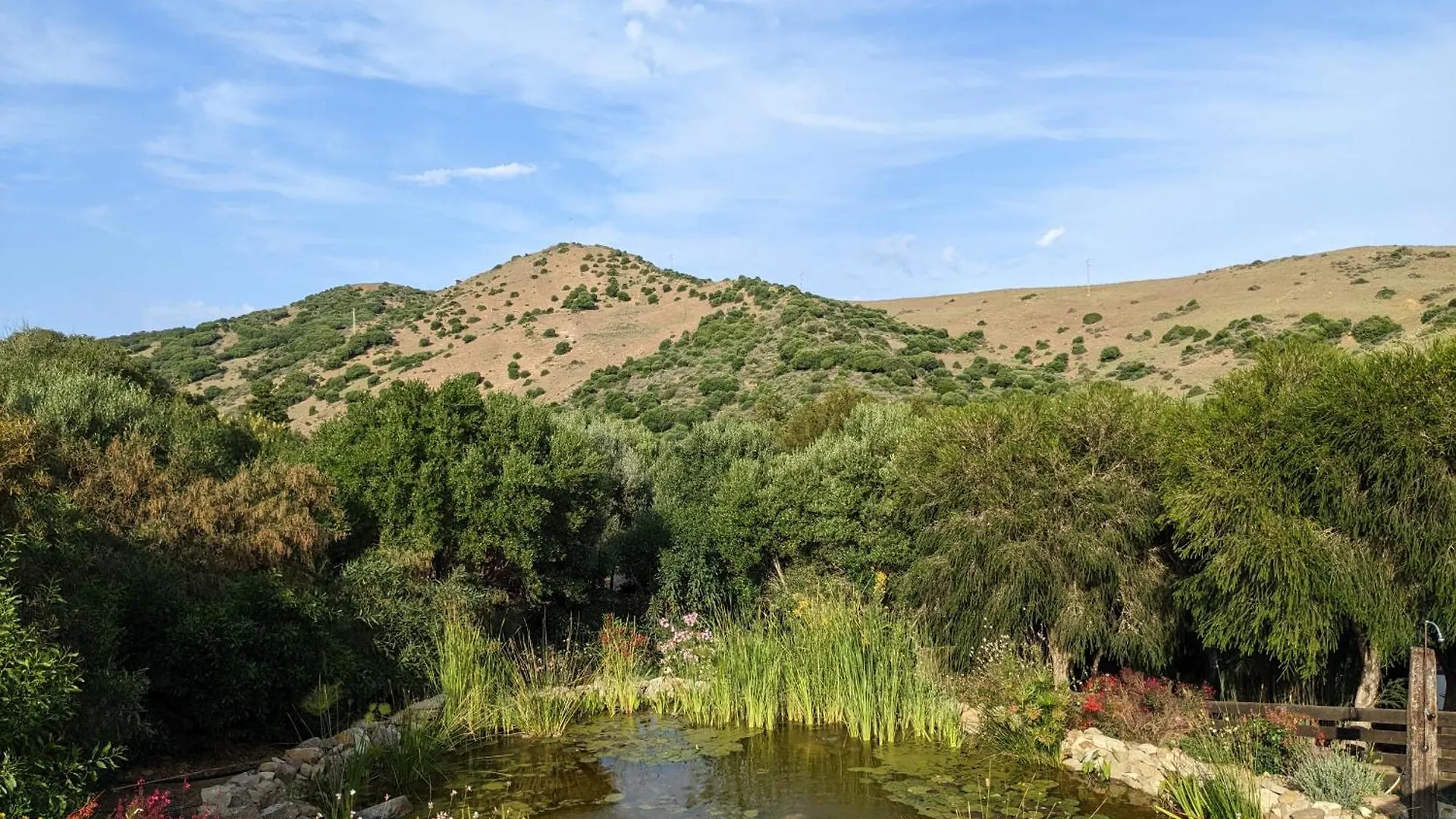 Quarto em Acomodações Particulares Home Stay En Finca Rural Tarifa