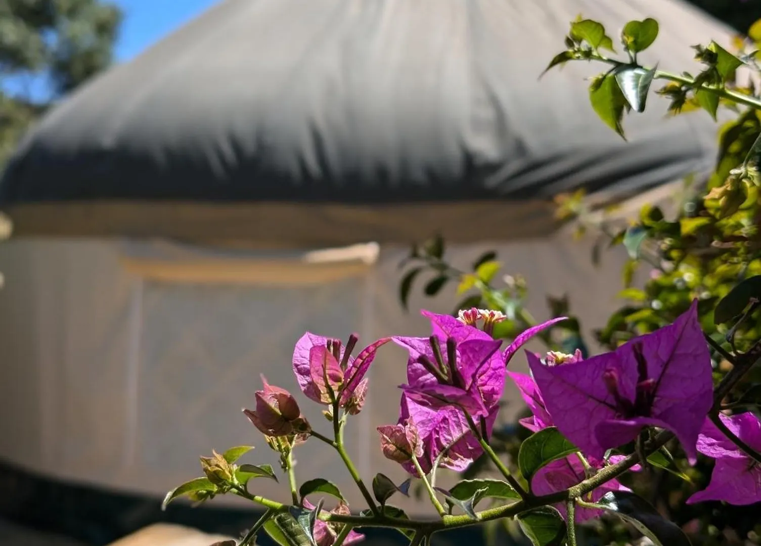 Quarto em Acomodações Particulares Home Stay En Finca Rural Tarifa Espanha